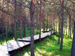 -塞罕坝国家级自然保护区