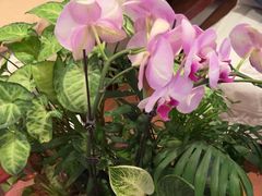 -同庆楼(王府井店)