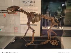 -北京周口店北京人遗址博物馆