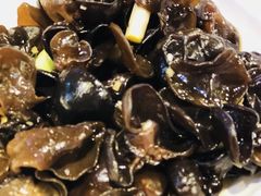 -老佛爷蛙锅•鲜蛙煲(麦凯乐店)
