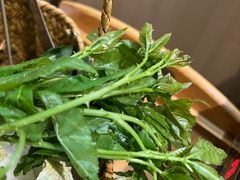 -一朵菌·野生菌探索家火锅(南亚店)