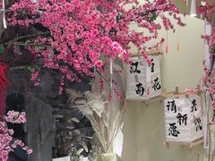 -苏梦江南·淮扬菜(夫子庙店)