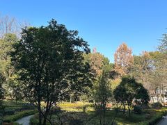 -上海佘山国家森林公园天马山园