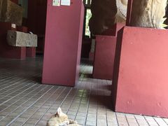 -柬埔寨国家博物馆