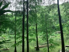 -深圳仙湖植物园