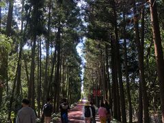 -上海长兴岛郊野公园