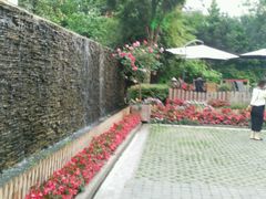 -老洋房花园饭店(绍兴路店)