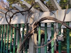 -人民公园-相亲角