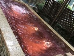 -春晖园度假酒店温泉