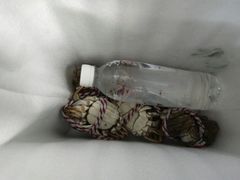 -丫丫蟹庄·苏式园林农家乐·阳澄湖大闸蟹(阳澄湖莲花岛店)