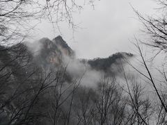 -王顺山国家森林公园