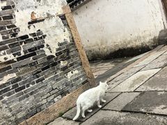 -丝绸小镇荻港古村