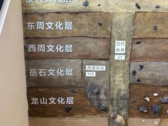 -日照市博物馆