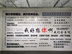 -成都失恋馆
