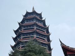 -铁山坪森林公园