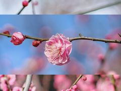-渭滨公园