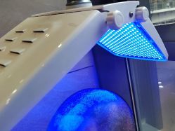 -碧莲盛·不剃发植发