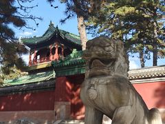 -普乐寺