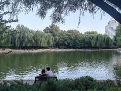 -团结湖公园