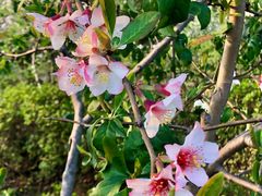 -白塘生态植物园