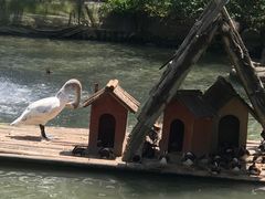 -上海佘山国家森林公园西佘山园