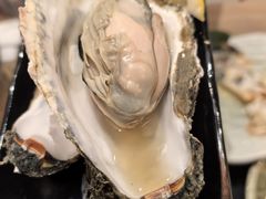 -札幌二条市场 大矶(本店)