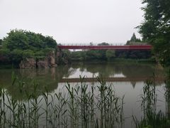 -青枫公园