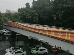 -荔湾湖公园