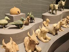 -广西壮族自治区博物馆