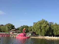 -莲花池公园