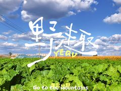 -天发长铁锅炖(王秀村店)