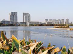 -尚贤河湿地
