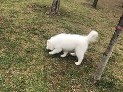-洨河生态公园