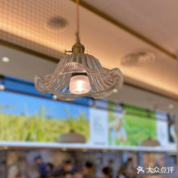 老乡鸡｜经济实惠中式快餐🍱 