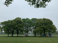 -东方绿舟景区