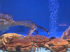 -阿伟海鲜楼·福建菜(延寿店)