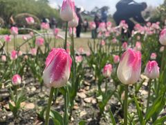 -玄武湖景区-情侣园游乐场