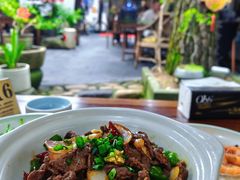 -小小饭店·休闲农庄·安吉松树林里的农家菜