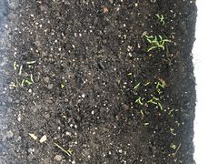 -有礼有面(知春路店)