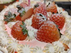 -今日·TODAY手作低脂动物奶油蛋糕定制(高新万达店)