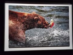 -罗红摄影艺术馆