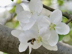 -九里河湿地公园