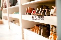 -西瓜庄园儿童摄影