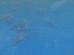 -SHRIMP CLUB万东餐饮钓虾·清吧