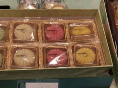 -克莉丝汀