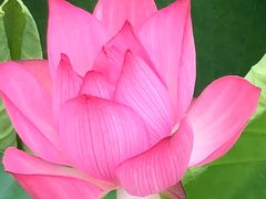 -韶山毛泽东同志故居