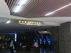 -武商摩尔影城(国广IMAX激光店)