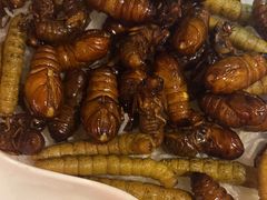 -即墨印象