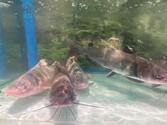 -食理八湘(中海城风情苑北区店)