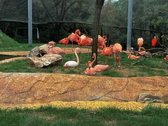 -沈阳森林动物园